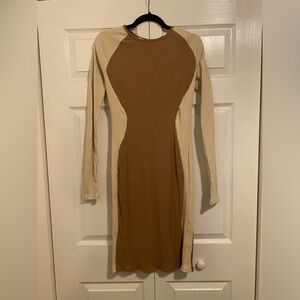 Fashion Nova Bodycon Dress